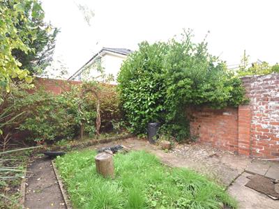Picture 12